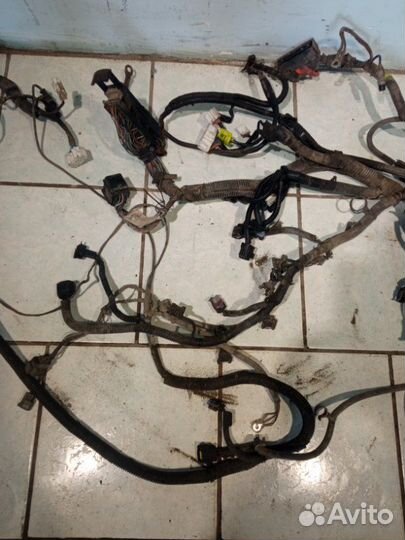 Проводка двигателя Chevrolet Lacetti хэтчбек F14D3