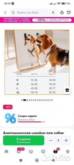 Шлейка для собаки