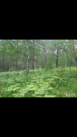 Участок 10 сот. (СНТ, ДНП)