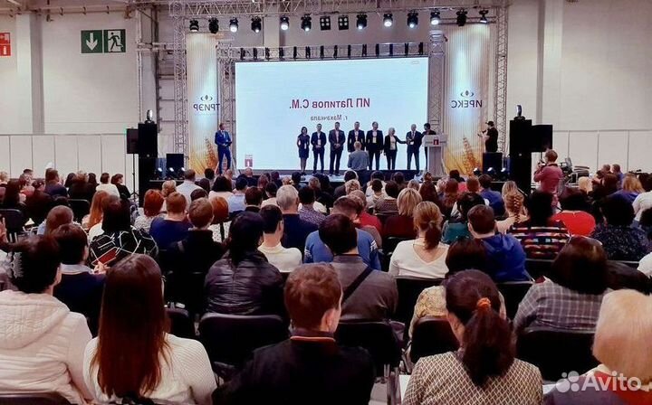 LED экран для мероприятий