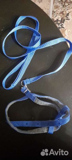 Поводок для кошек