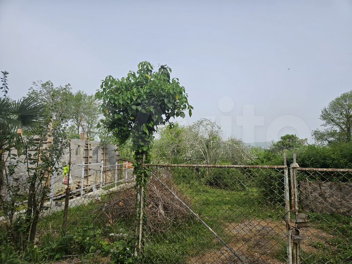 Участок 5 сот. (СНТ, ДНП)