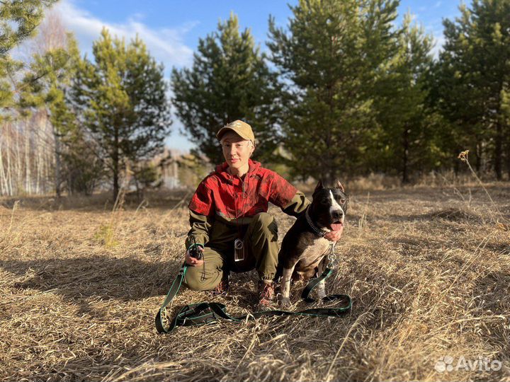 Кинолог. Тренер собак