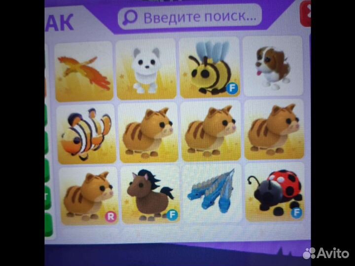 Петы из адопт ми роблокс (чит.опис.)