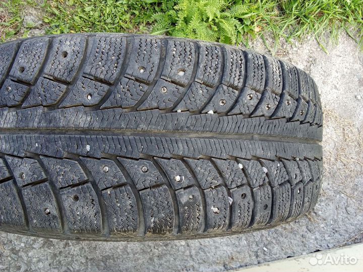 Gislaved Nord Frost 5 205/50 R17 93T