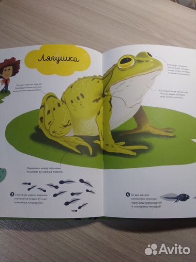 Книга clever Главная книга малыша о природе