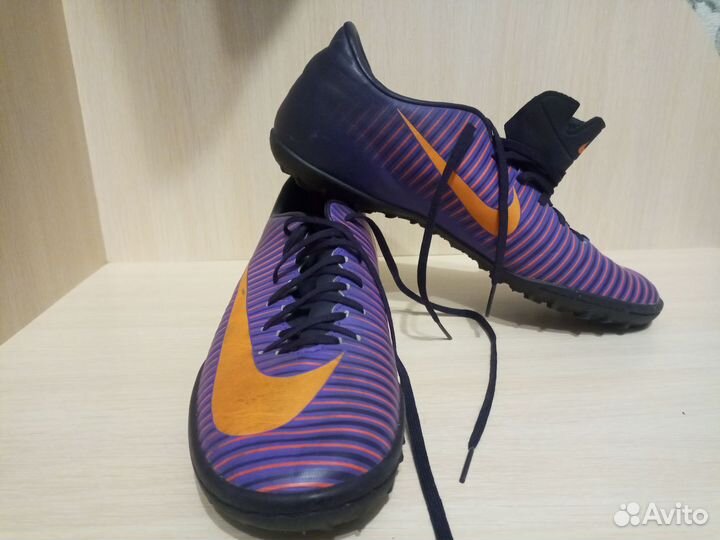 Сороконожка