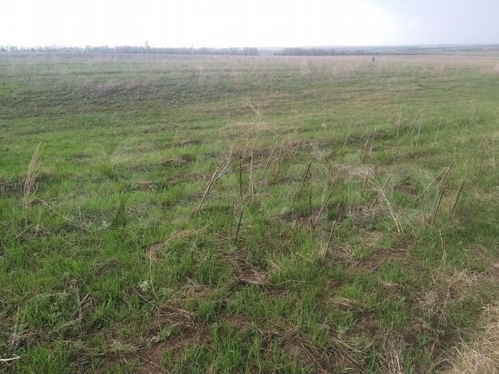 Участок 10,5 сот. (ИЖС)