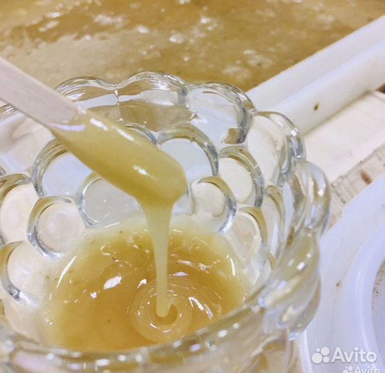 Трутневый гемогенат