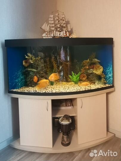 Аквариум с тумбой