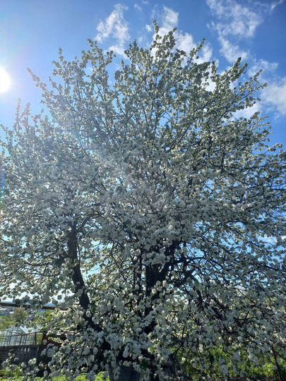 Дом 36 м² на участке 13 сот.