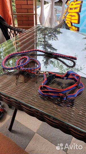 Поводок для маленьких собак