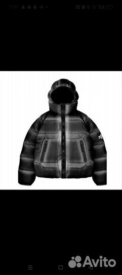 Tommy sinny shade puffer gray