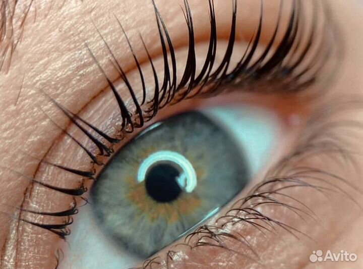 Ламинирование бровей/ресниц