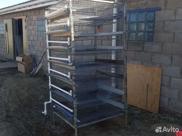 Клетки для перепелов бу