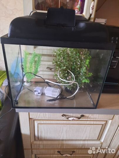 Аквариум