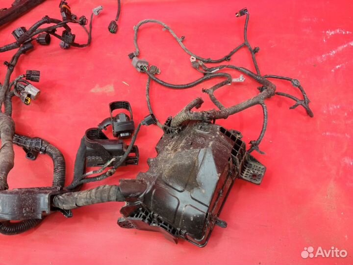 Проводка моторного отсека Kia Rio 4 2017