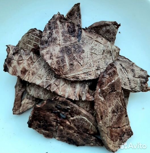 Лакомства для собак