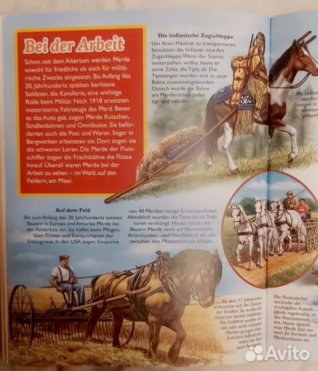 Книга на немецком для детей Pferde