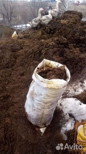 Навоз крс домашний, не с фермы