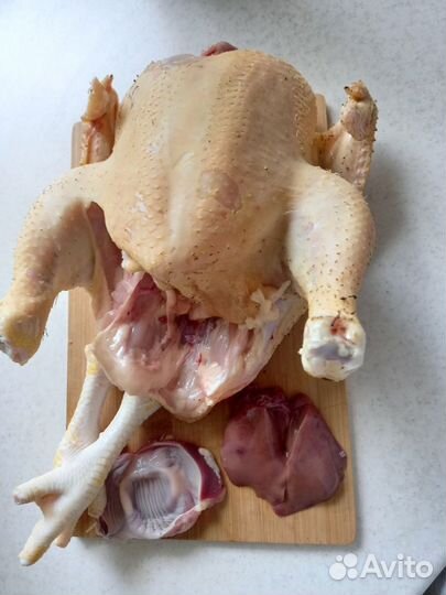 Домашние курочки,мясо бройлера,яйцо