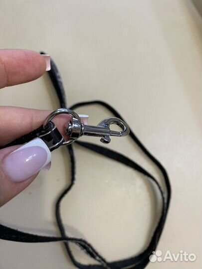 Поилка, миска, поводок, ошейник для собак