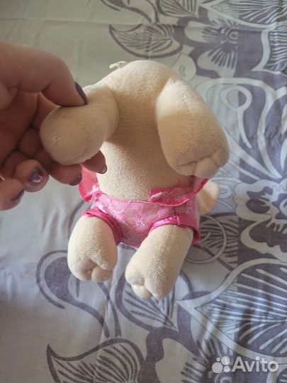 Чичилав собачка лает