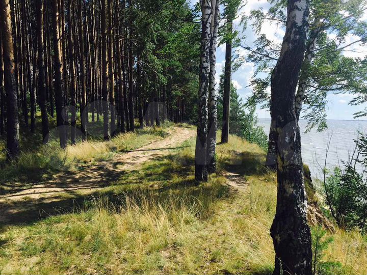 Участок 12,2 га (ИЖС)