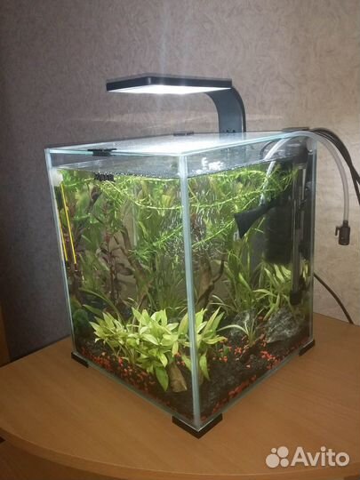 Аквариум-куб Aquael Shrim Set Day& Nigt 20литров