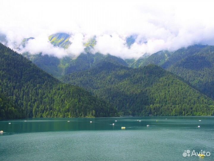 Экскурсия — Пицунда — Три В Одном: Озеро Рица, Нов