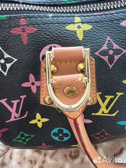 Саквояж Louis Vuitton multicolour