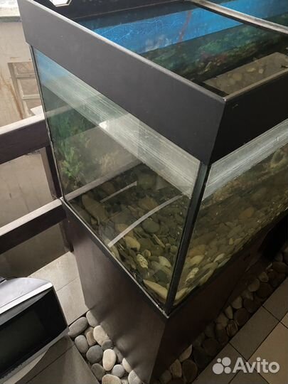 Аквариум с тумбой 400 литров