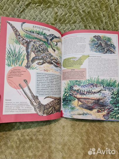 Детская энциклопедия о животных