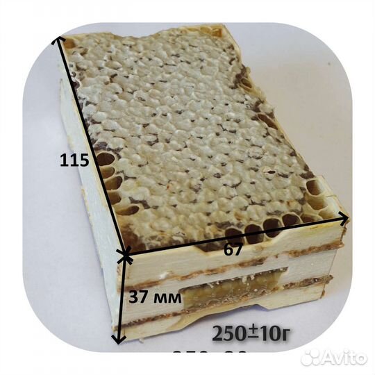 Мед в сотах мёд в мини-рамках 2023