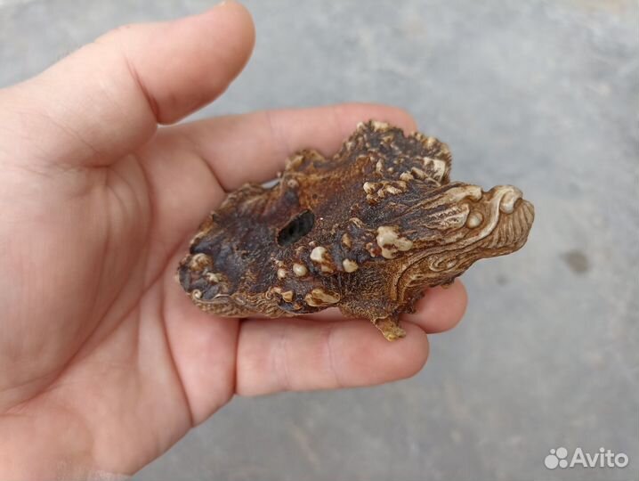 Нэцкэ-пепельница 