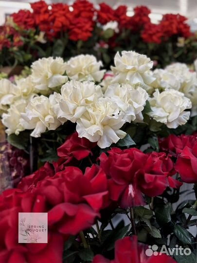 Розы с доставкой