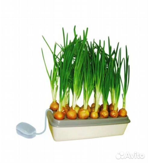 Гидропонная установка б/у для выращивания лука