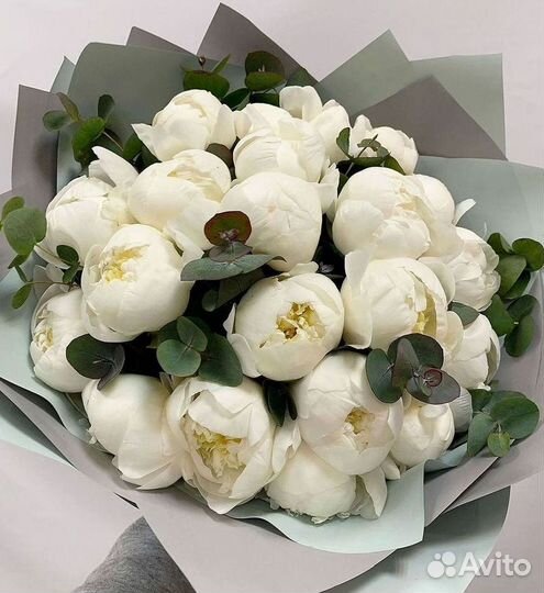 Пионы Букет