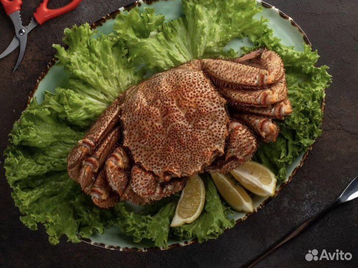 Крабы, креветки, раки