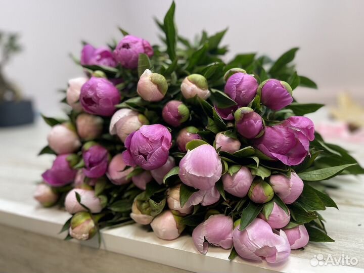 Пионы букет