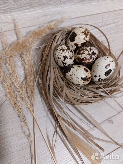Яйца перепелиные