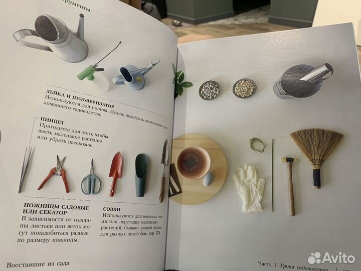 Книга по уходу за растениями «Восставшие из сада»