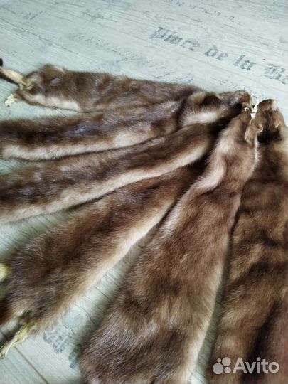 Шкурки норки