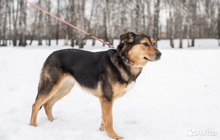 Лия хочет быть любимой