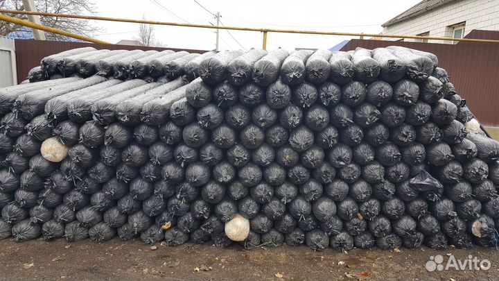 Отработанные грибные блоки