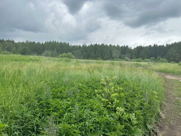 Участок 2,72 га (промназначения)