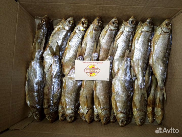 Вобла Астраханская