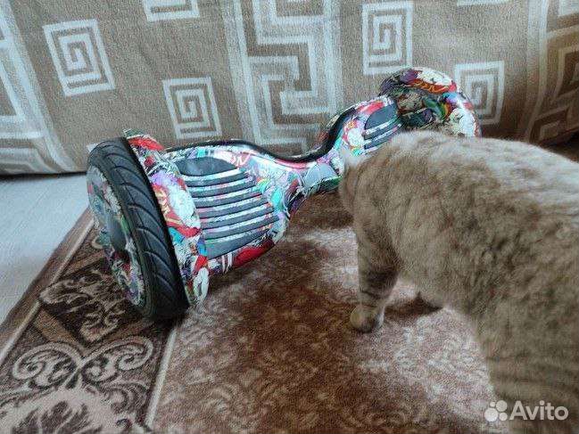 Гироскутер