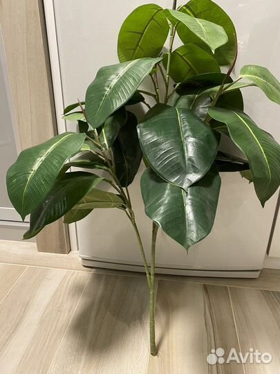 Фикус(полная имитация живого)