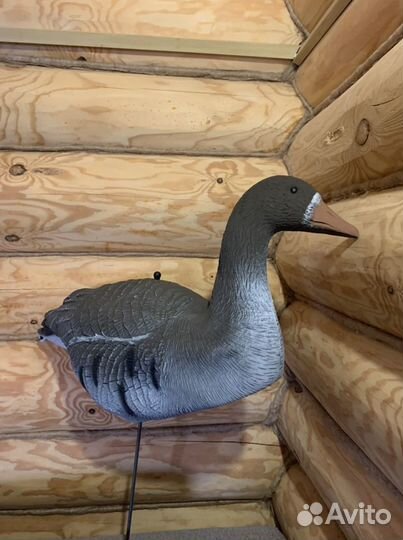 Новые чучела бeлoлoбых гуcей Sроrtplast LC940 Pro